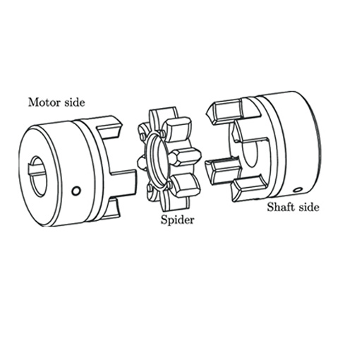 Rotex Coupling Manufacturer